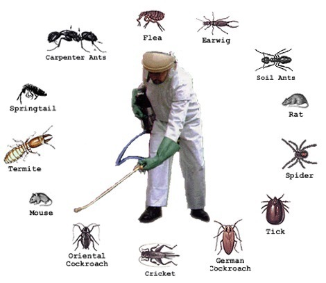 pest control services in patna